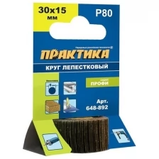 Практика Круг лепестковый с оправкой 30x15мм, P 80, 648-892 .